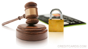 Credit card merchants may now have federal support in protecting against credit card fraud. 